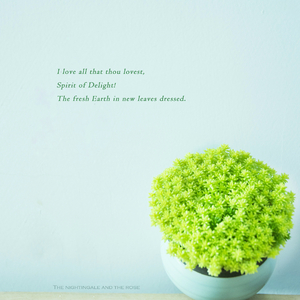 妓女张开腿被男人使劲cao免费
